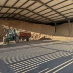 Miscanbloc, miscanthus biosourcé, YZAA