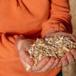 Miscanbloc, miscanthus biosourcé, YZAA